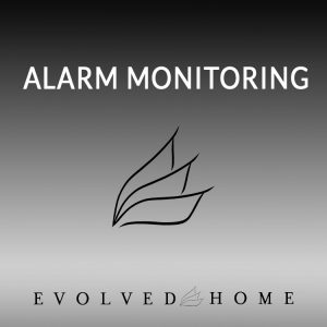 Alarm monitoring