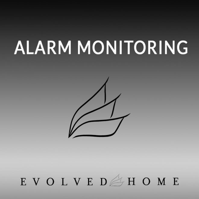 Alarm monitoring