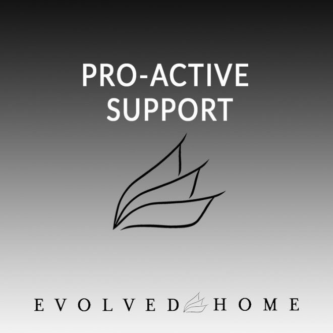 Pro Active Support