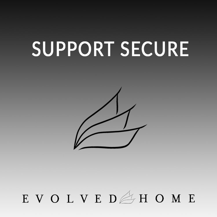 Support Secure